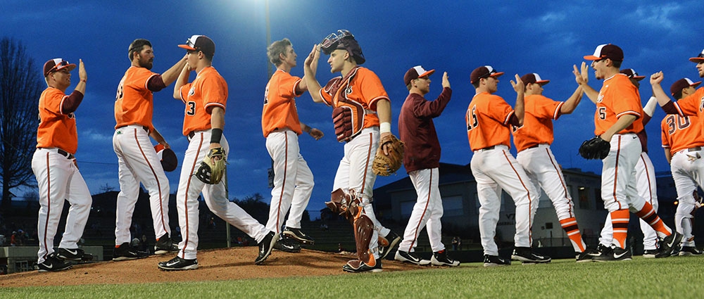 baseball_brick_slider3