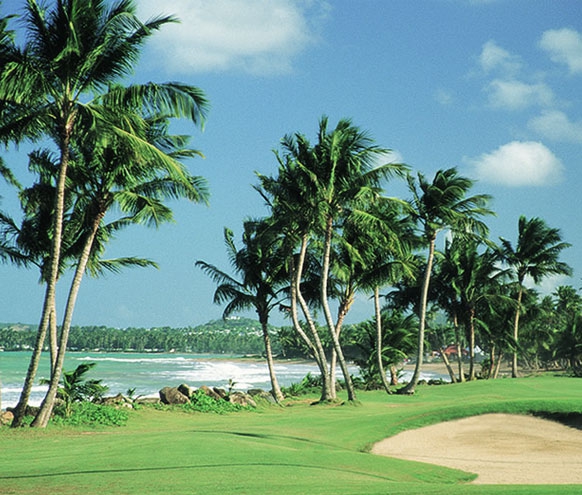 golf_travel1